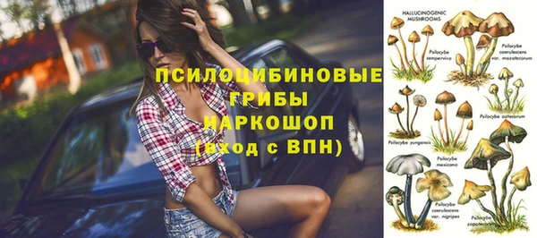 альфа пвп Нея