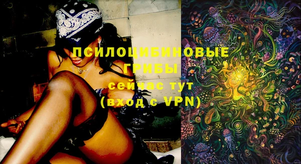 МДПВ Нефтегорск