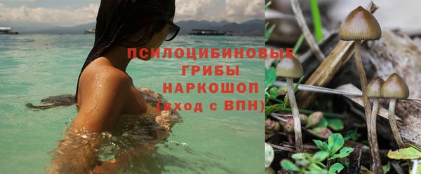 альфа пвп Нея