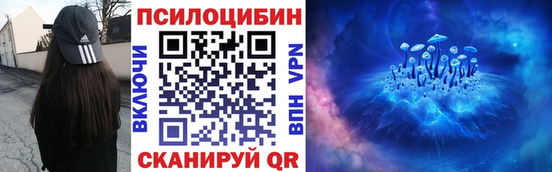 Псилоцибиновые грибы Psilocybine cubensis  Купить где  Чехов 